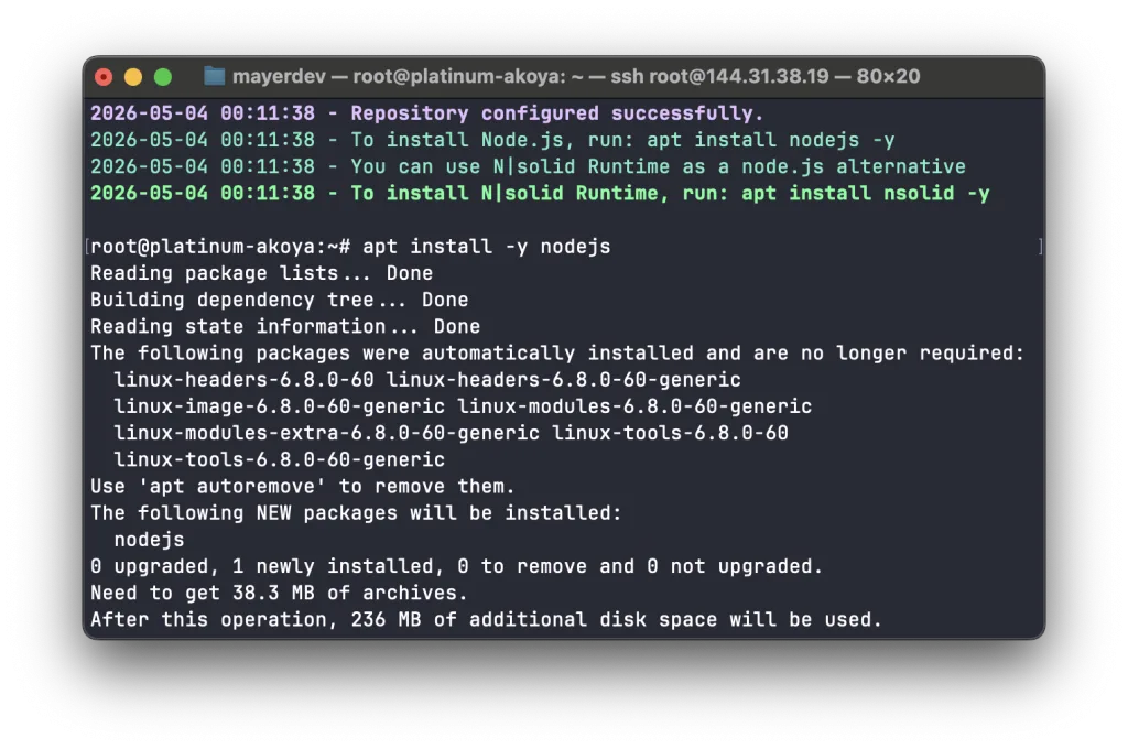 Установка Node.js 24 из репозитория NodeSource