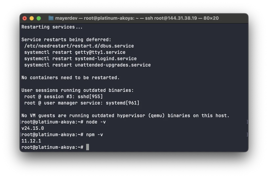 Установленные версии Node.js и npm
