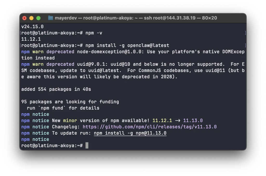 Успешная установка OpenClaw через npm
