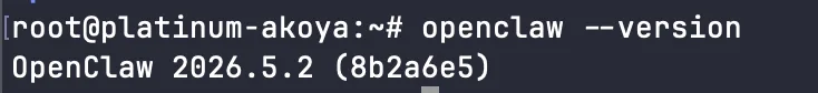 Вывод команды openclaw --version