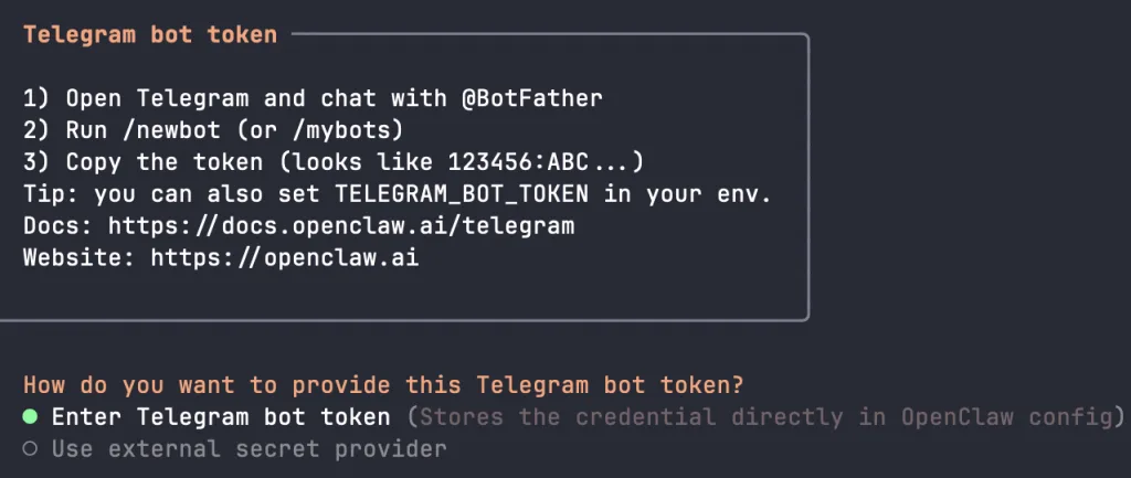Ввод токена Telegram-бота